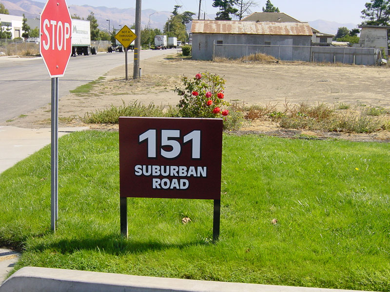 USA-CAN-2006-Ernie-Ball-2006-229